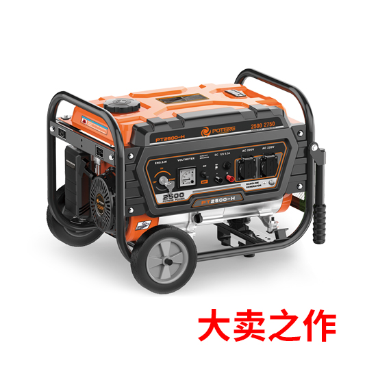 臺州環(huán)洋機電2500W發(fā)電機